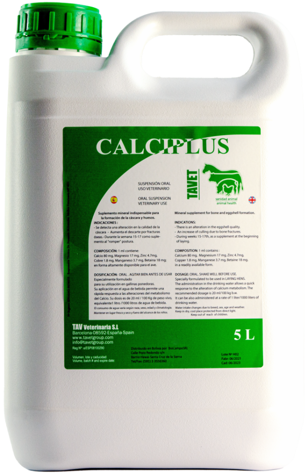 Calciplus